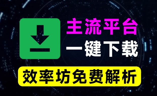 效率坊解析工具！主流视频平台一键解析下载，支持B站、抖音、YouTube、小红书、tiktok等平台，免费在线用-Ai资源素材