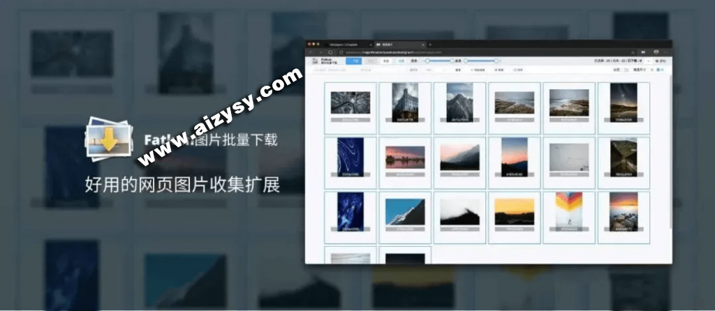 20260114173719407-20250215142058518-1739600457511-1024x446